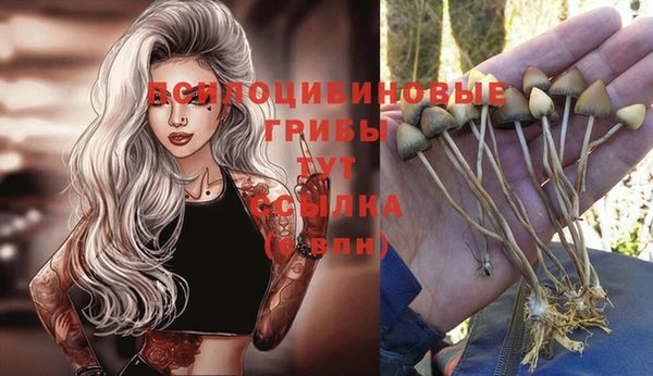 бошки Белоозёрский