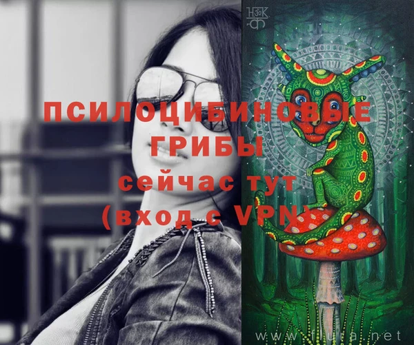 винт Белокуриха
